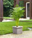 Vaso in Resina Tulli Quadro Liscio Classic Cappuccino Varie Misure