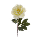 Set 6 Peonia Artificiale Aperta Altezza 76 cm 