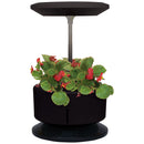 Macchina per Coltivazione di Piante Erbe Fiori con Lampada LED Garden Machine Nero