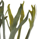 Set 2 Platycerium Artificiale con 5 Diramazioni Altezza 62 cm Verde