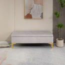 Panca Contenitore Fondo Letto 120x44x44,5cm con Tessuto Vellutato e Gambe Dorate Grigio Chiaro
