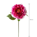 Set 6 Fiori Artificiali Peonia 65 cm 