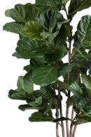 Pianta Artificiale Ficus Lyrata 220 cm 129 F con Vaso