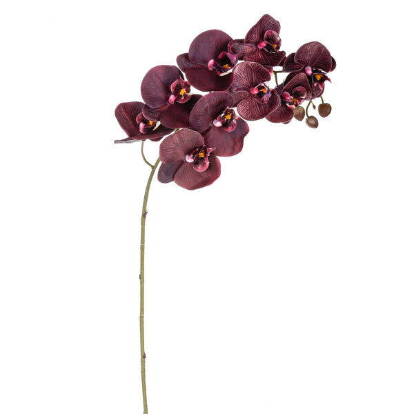 Set 3 Phalaenopsis Artificiali Real Touch Artificiale con 9 fiori Altezza 91 cm acquista
