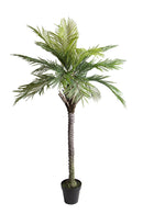Pianta Artificiale Palma per 19 con Vaso 200 cm 