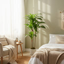 Pianta Artificiale di Dracena Alta 120 cm in PEVA  Verde e Legno con Vaso Contenitore in PP e Cemento Bianco      