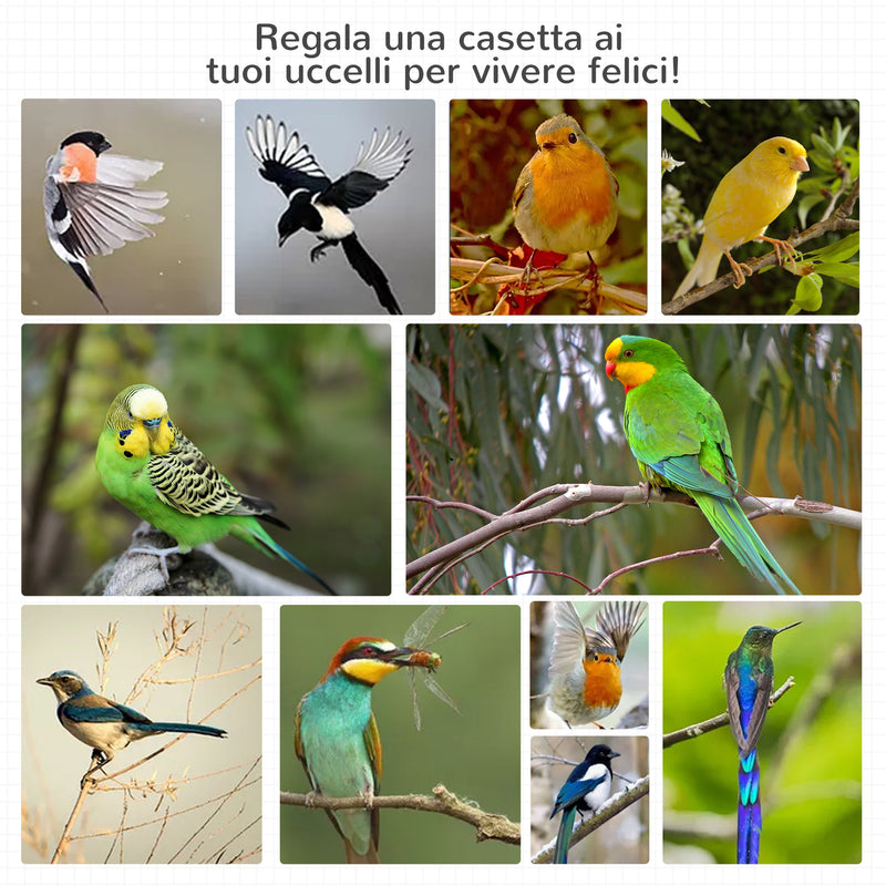 Gabbia per Uccelli 80,5x57x153 cm 3 Aperture con 4 Posatoi e Vassoio Rimovibile in Legno e Metallo Arancione  