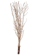 Set 4 Rami Tralcio con Glitter H80 cm Oro