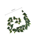 Set 2 Ghirlande Potus 200 cm