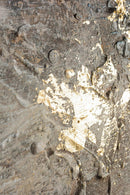 Dipinto Olio Crown 20846-4 140x180 cm in Olio su Tela