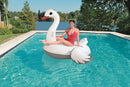 Cigno Gonfiabile Gigante 196x174 cm in Vinile Bestway 41111 Bianco