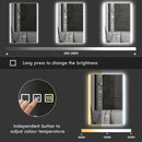 Specchio Bagno da Parete con Luce LED a 3 Colori 70x50x3 cm in Vetro Temperato Argento  