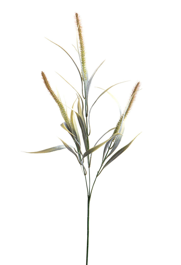 Set 24 Piante Artificiali di Setaria Composta da 3 Diramazioni Altezza 84 cm Marrone online