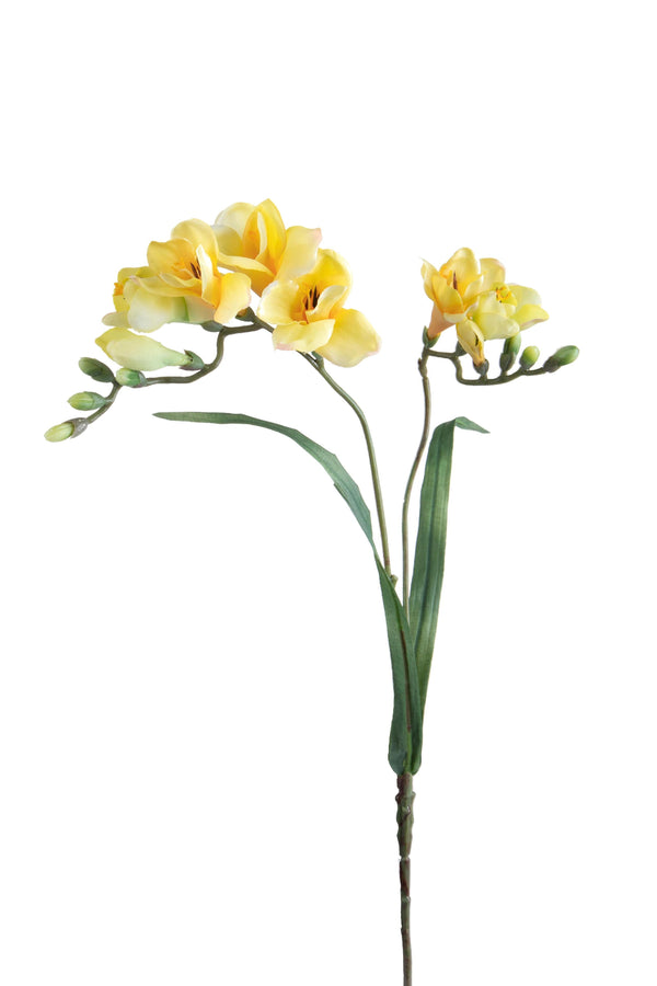 online Set 6 Fiori Artificiali di Fresia con Due Fiori Altezza 63 cm Giallo