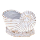 Set 2 Vasi Conchiglia con Base Ø 20 H 14 cm 