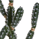 Pianta Artificiale Cactus Euphorbia con Vaso H 106 cm