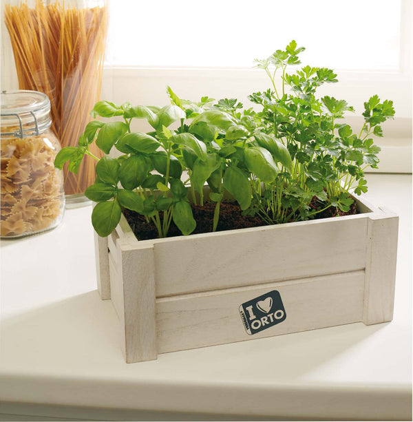 Kit Semi di Basilico e Prezzemolo con Cassettina in Legno e Terriccio Rama Easyorto prezzo