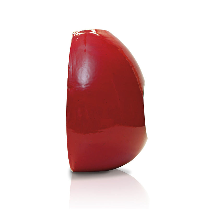 Camino a Bioetanolo da Parete in Ceramica 50x48 cm Ferazzoli Onion Rosso
