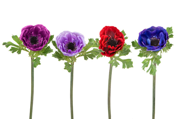 Set 8 Fiori Artificiali di Anemone Multicolore sconto