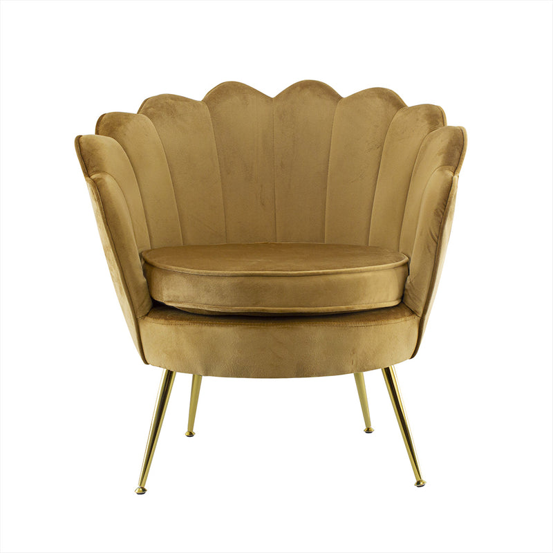 Poltrona Imbottita Schienale a Conchiglia in Velluto Piedi Oro Marrone