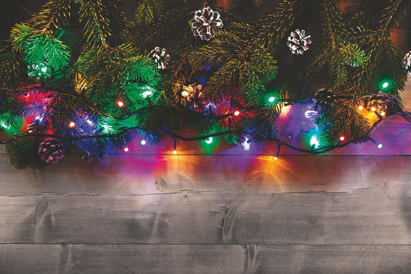 Luci di Natale 100 LED 3,96m Multicolor da Esterno-Interno Soriani