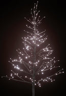 Faggio H180 cm con 270 Led e Movimento per interno Champagne