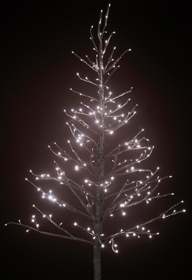 Faggio H180 cm con 270 Led e Movimento per interno Champagne