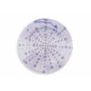 Set 6 Sottopiatti Tondi Ø33x1,5 cm in Latta VdE Tivoli 1996 Aurora 