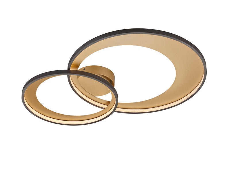 Plafoniera da Interno a LED in Metallo Nero Opaco