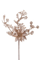 Set 12 Rami con Stella H35 cm Champagne