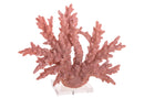 Corallo Resina con Base H 30 cm