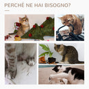 Albero Tiragraffi per Gatti 59,5x39x79 cm 2 Palline Giocattolo e Spazzola in Legno Iuta e Peluche Grigio  