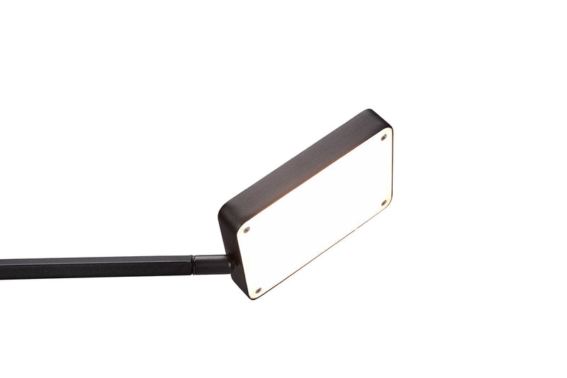 Piantana da Interno a LED in Metallo Nero Opaco