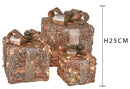 Pacchi Dono 3 Pezzi con 65 Led in Rattan Champagne