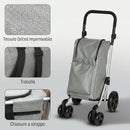 Carrello Spesa Pieghevole 44x58x100 cm Borsa da 46L con Ruote Scomparto Refrigerato in Alluminio Grigio      