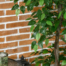 Pianta Artificiale Albero del Tè con 546 Foglie Realistiche e Vaso Cemento 120 cm Verde      