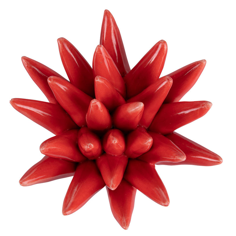 Riccio di Mare Decorativo 8x8x4 cm  in Ceramica VdE Tivoli 1996 Fish