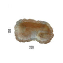 Laghetto Artificiale Roccia a Bordo Largo 220x130x42 cm 320 Litri