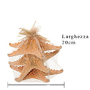 Set 12 Stelle Marine in Rete 20 cm