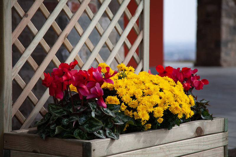 Fioriera da Giardino con Traliccio 120x44x180 cm in Legno