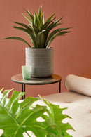 Set 4 Vasi a Cilindro Tressage Antracite