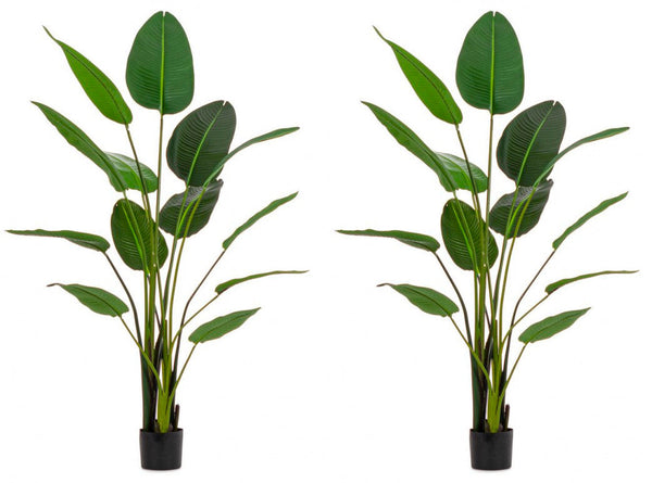 prezzo Set 2 Piante Artificiali Strelitzia 170x32x185 cm in Plastica con Vasi Verde