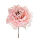 Set 12 Pick Peonia Ø11 cm Rosa