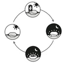 Boa Luminosa Galleggiante con Pannello Solare Interno Luce Blu  Sined   