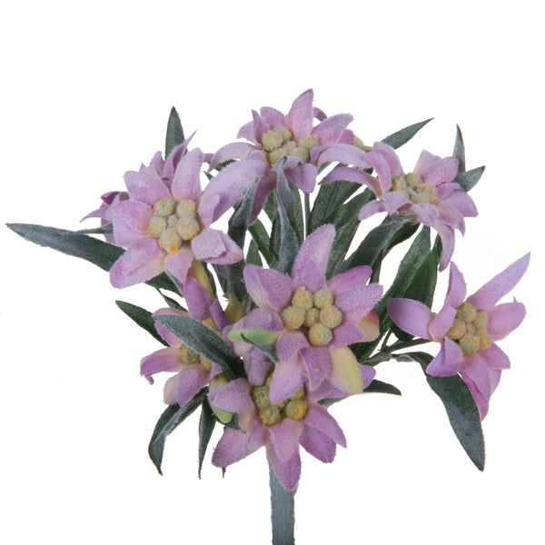 prezzo Set 2 Piante di Stella Alpina Artificiali Composta da 9 Fiori Altezza 25 cm Rosa