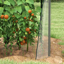 Mini Serra da Giardino con 2 Porte Avvolgibili 90x90x145 cm Copertura in PE  Trasparente