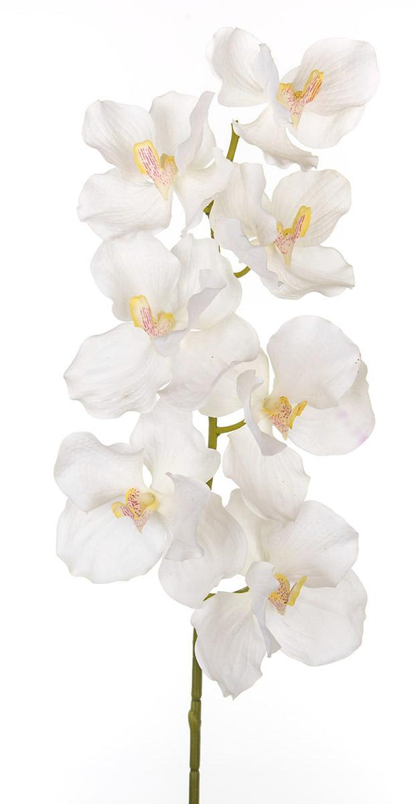 online Set 3 Orchidea Artificiali Vanda Altezza 100 cm Bianco