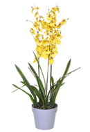 Orchidea Artificiali Oncidium a 3 Diramazioni con Vaso Altezza 45 cm Giallo