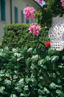 Arella Siepe Sintetica Artificiale in Polipropilene Ombreggiante Rama Foglie di Edera Varie Misure