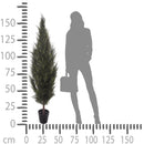 Pianta Artificiale Cipresso con Vaso H 167 cm